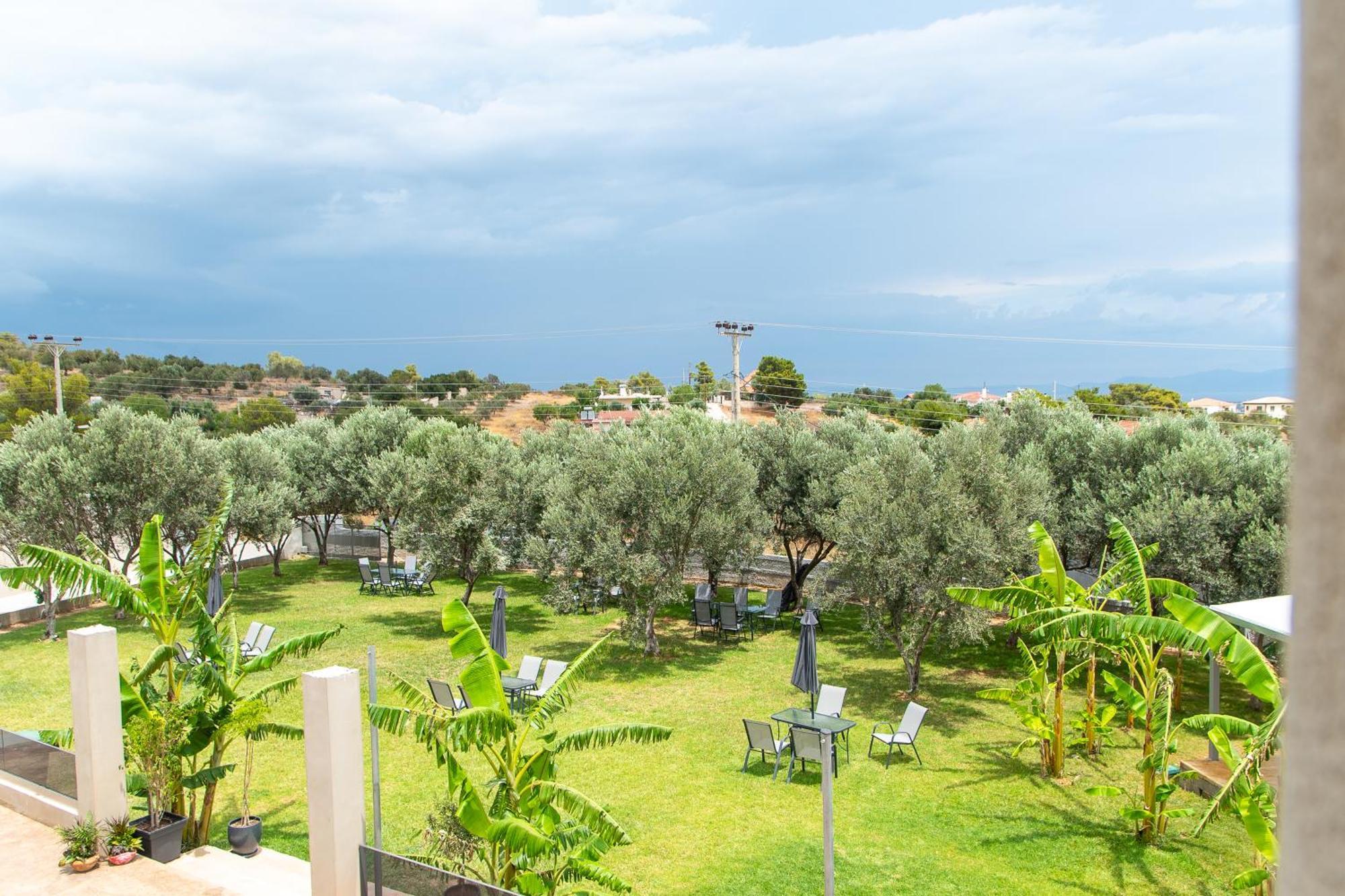 Airscape Hotel Free Shuttle From Athen'S Airport أرتيميدا المظهر الخارجي الصورة